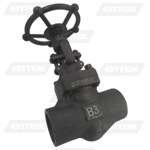 VALVULAS GLOBO MARCA B3-VALVE A-105 TRIM-8 CLASE 800 S.W.